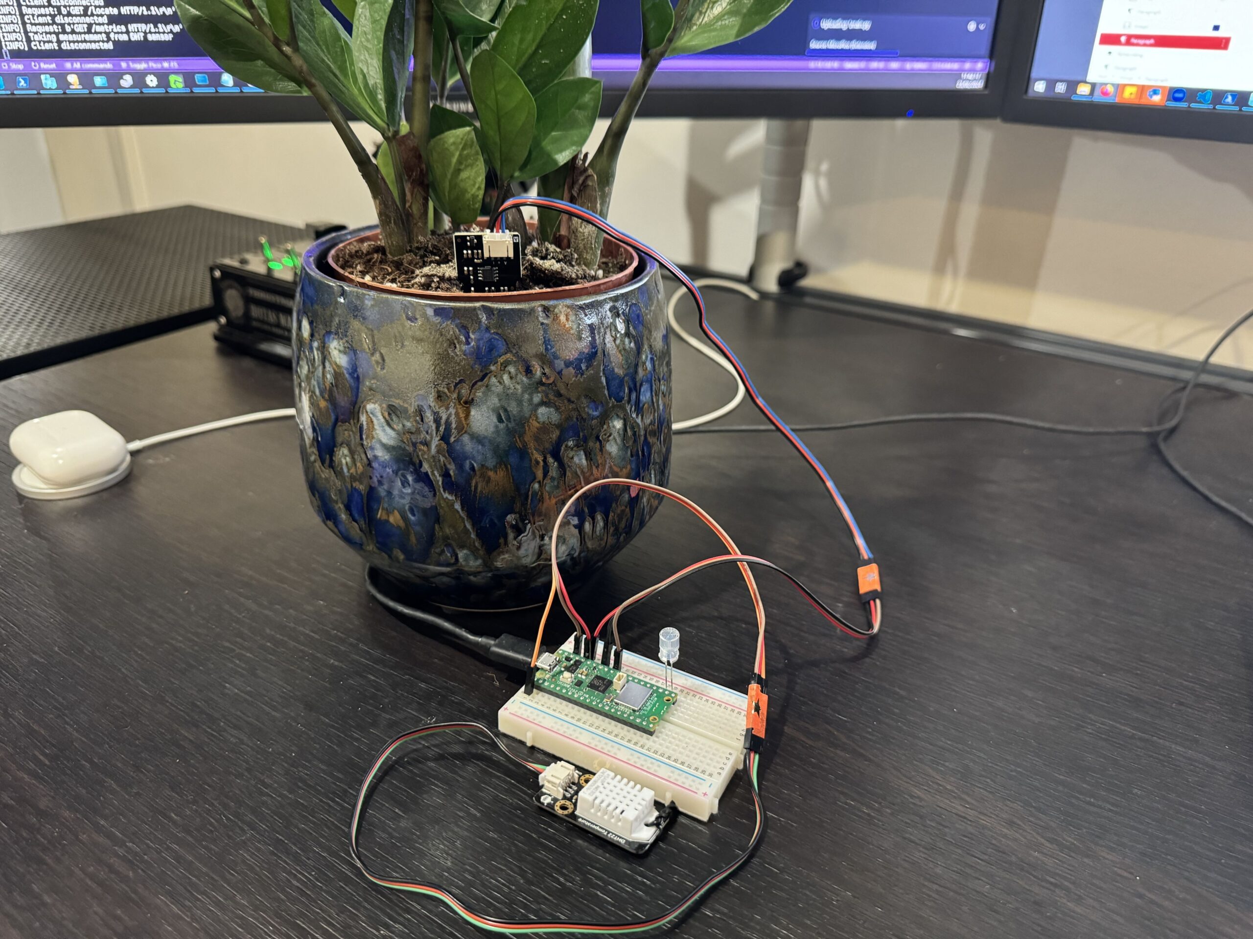 Photo of Pi Pico on breadboard with capacitive soil moisture sensor in beautiful pot and DuPoit jumper leads linking everything together as it's just a prototype